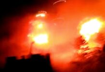Ночная атака «Шахедов»: пограничники сбили в Одесской области ударный БпЛА
