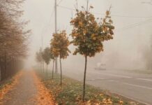 Возможны туманы: какая погода будет в Одессе на следующей неделе
