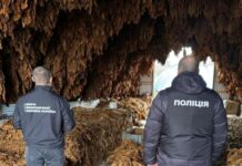 Табачная схема на 13 миллионов гривен: полиция Одесчины разоблачила межрегиональную сеть производства сигарет