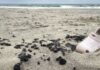 В Одессе продолжают очищать побережье после загрязнения масляными веществами
